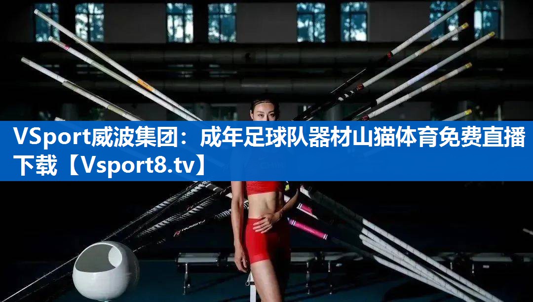 <strong>VSport威波集团：成年足球队器材山猫体育免费直播下载</strong>