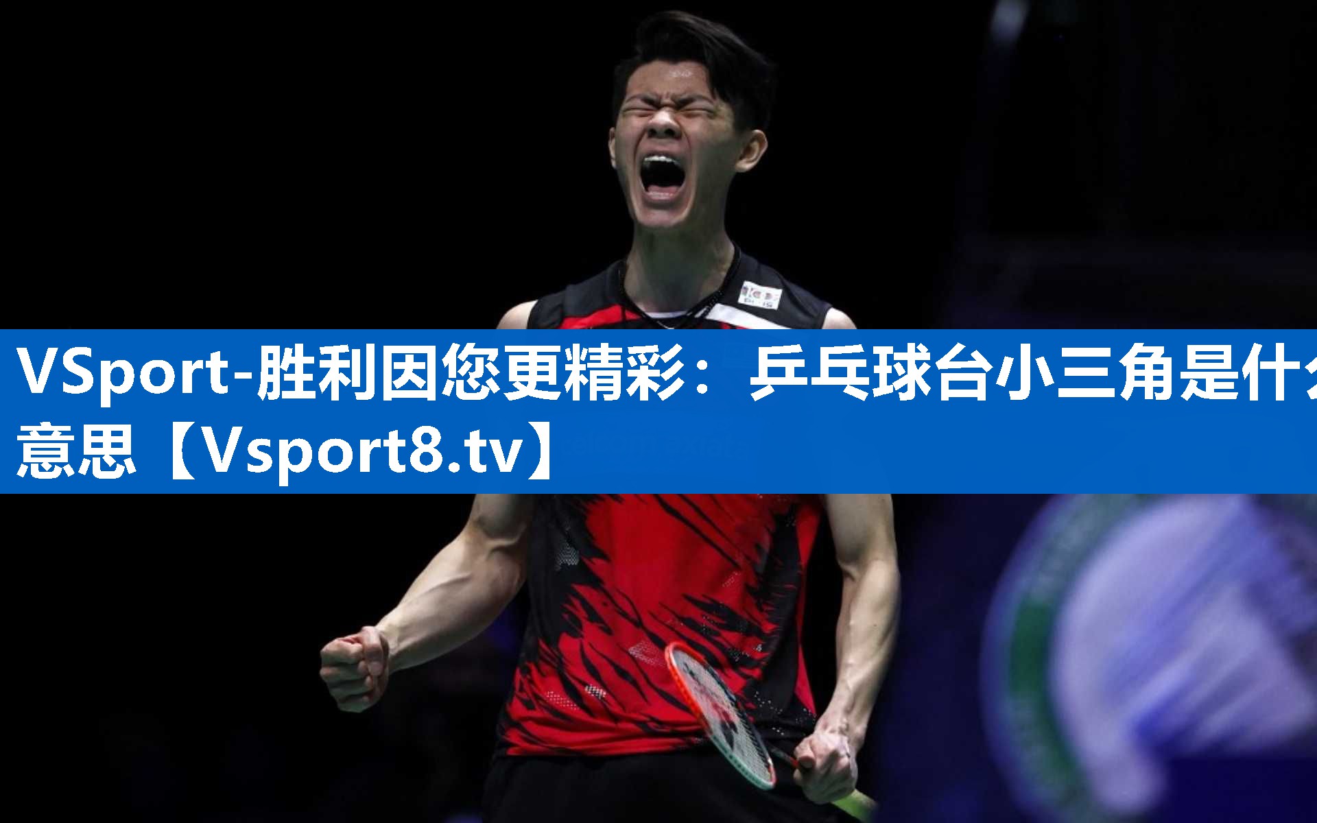 VSport-胜利因您更精彩：乒乓球台小三角是什么意思