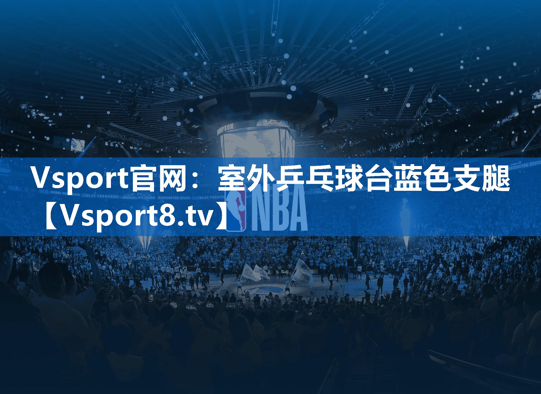 <strong>Vsport官网：室外乒乓球台蓝色支腿</strong>