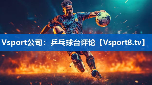Vsport公司：乒乓球台评论