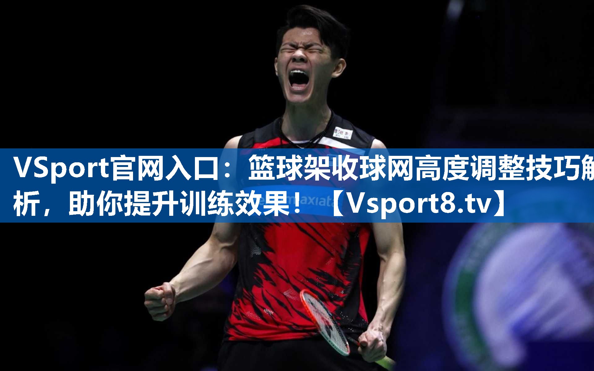 VSport官网入口：篮球架收球网高度调整技巧解析，助你提升训练效果！