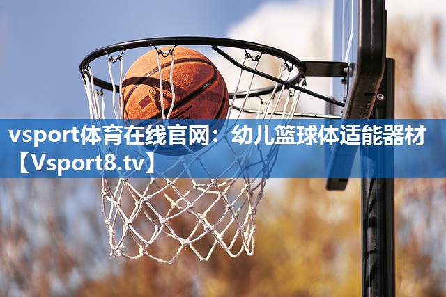 <strong>vsport体育在线官网：幼儿篮球体适能器材</strong>