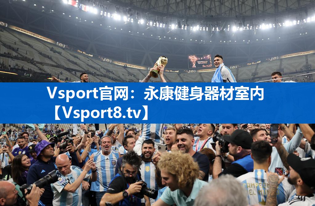 <strong>Vsport官网：永康健身器材室内</strong>