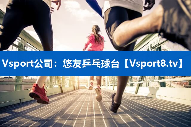 Vsport公司：悠友乒乓球台