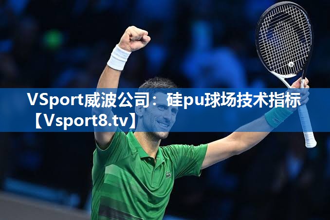 VSport威波公司：硅pu球场技术指标