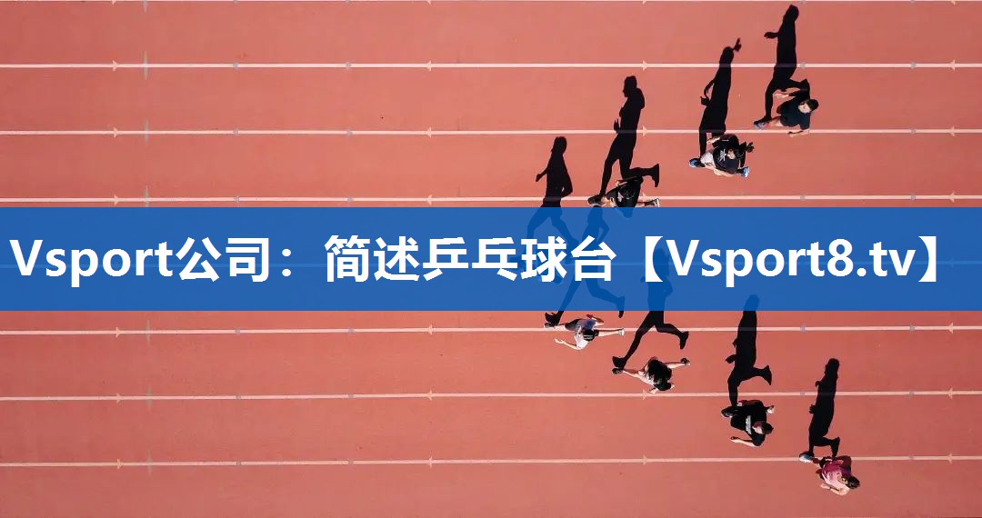 Vsport公司：简述乒乓球台