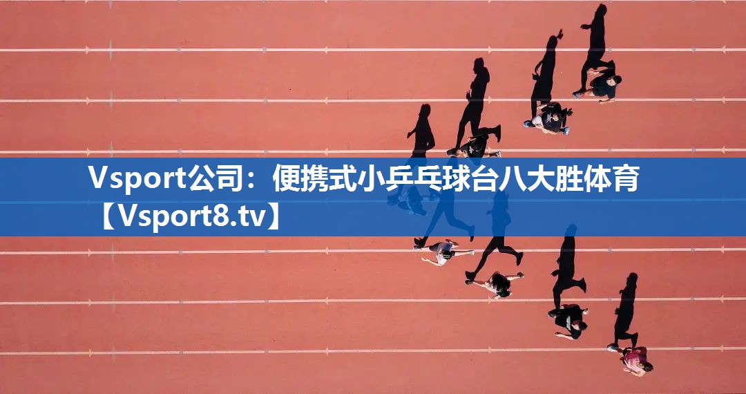 <strong>Vsport公司：便携式小乒乓球台八大胜体育</strong>