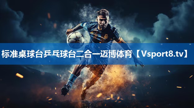 <strong>标准桌球台乒乓球台二合一迈博体育</strong>