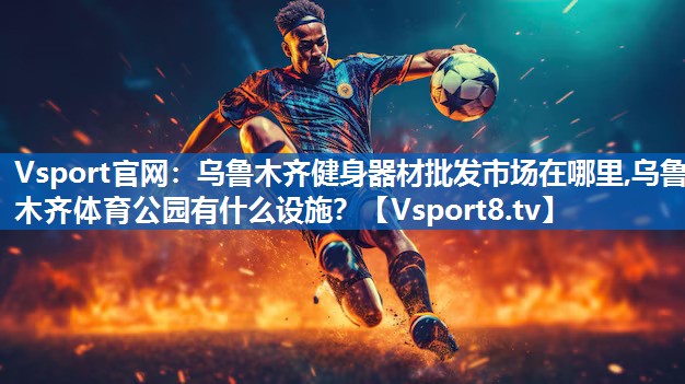 <strong>Vsport官网：乌鲁木齐健身器材批发市场在哪里,乌鲁木齐体育公园有什么设施？</strong>