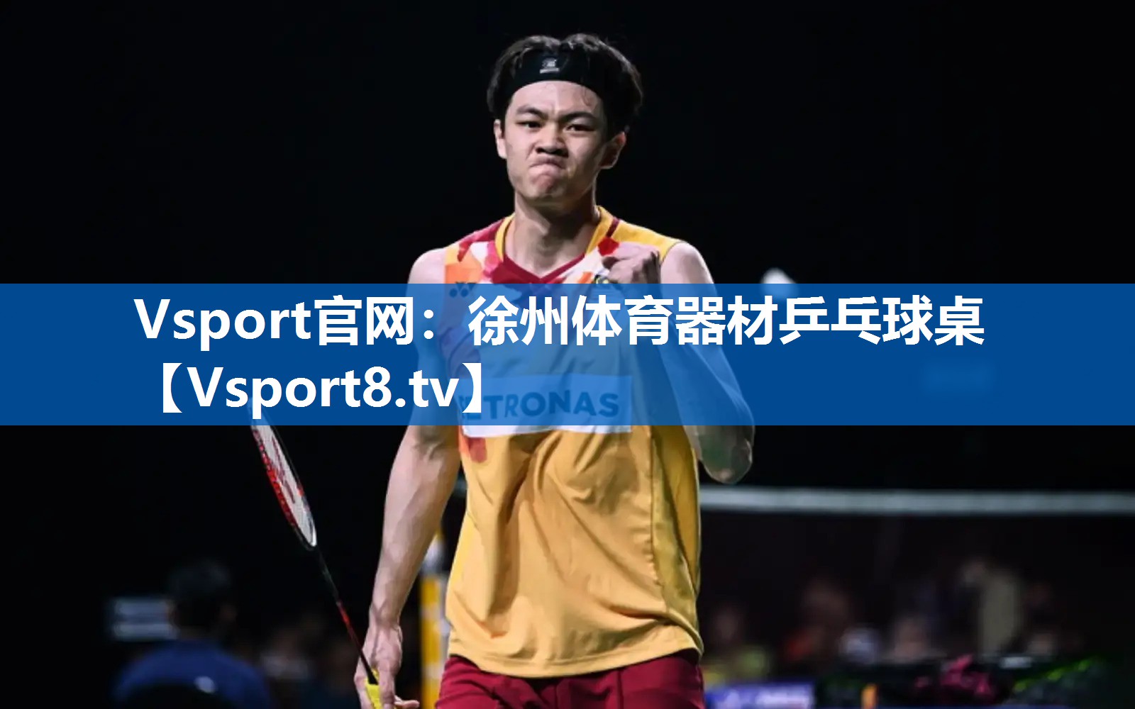 <strong>Vsport官网：徐州体育器材乒乓球桌</strong>