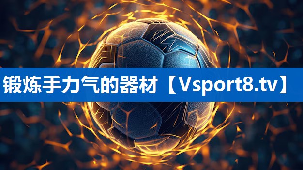 <strong>锻炼手力气的器材</strong>