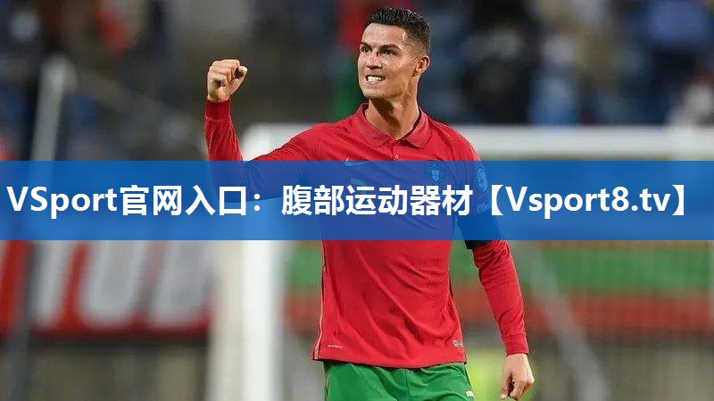 VSport官网入口：腹部运动器材