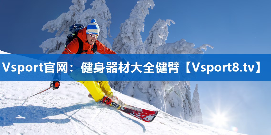 Vsport官网：健身器材大全健臂