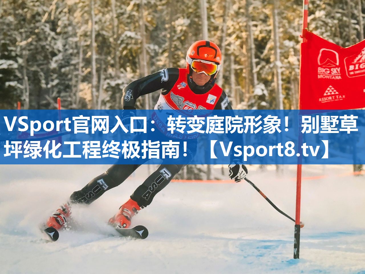 <strong>VSport官网入口：转变庭院形象！别墅草坪绿化工程终极指南！</strong>