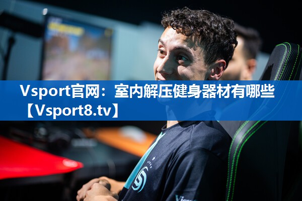 Vsport官网：室内解压健身器材有哪些