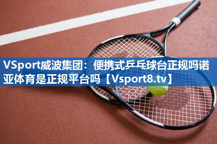 VSport威波集团：便携式乒乓球台正规吗诺亚体育是正规平台吗