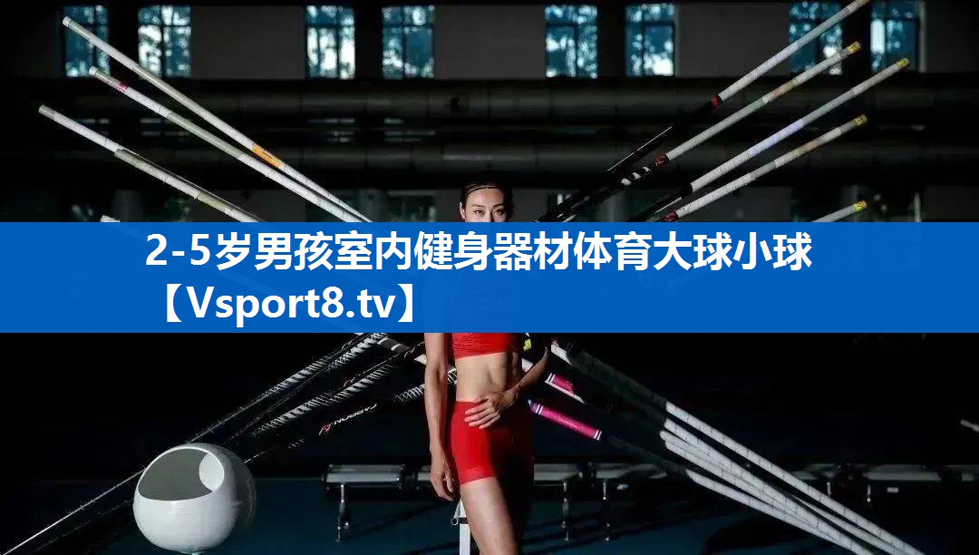 <strong>2-5岁男孩室内健身器材体育大球小球</strong>