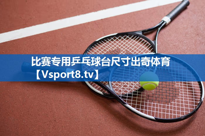 比赛专用乒乓球台尺寸出奇体育