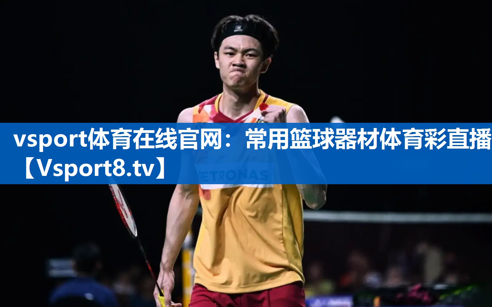 <strong>vsport体育在线官网：常用篮球器材体育彩直播</strong>