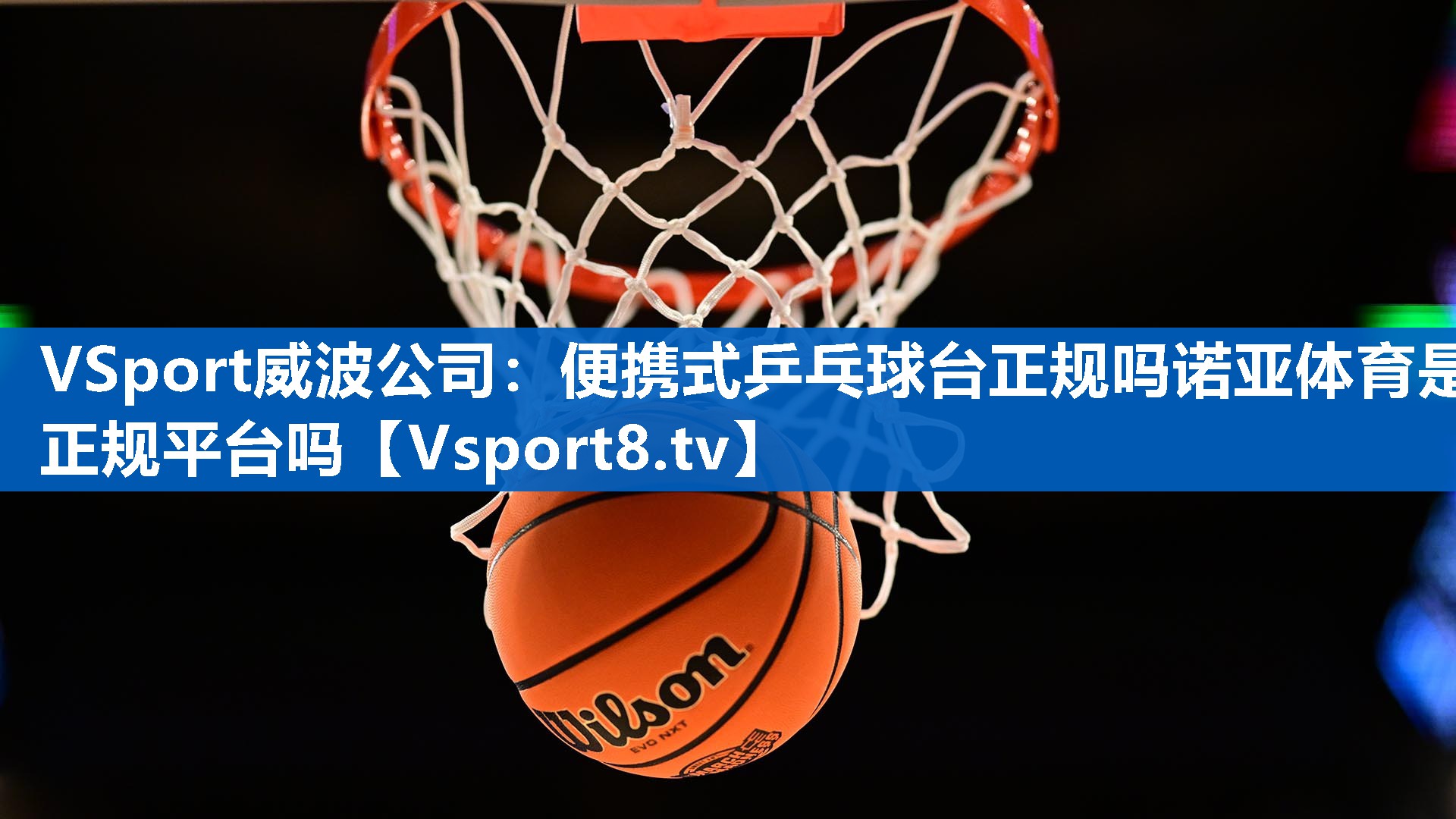 VSport威波公司：便携式乒乓球台正规吗诺亚体育是正规平台吗