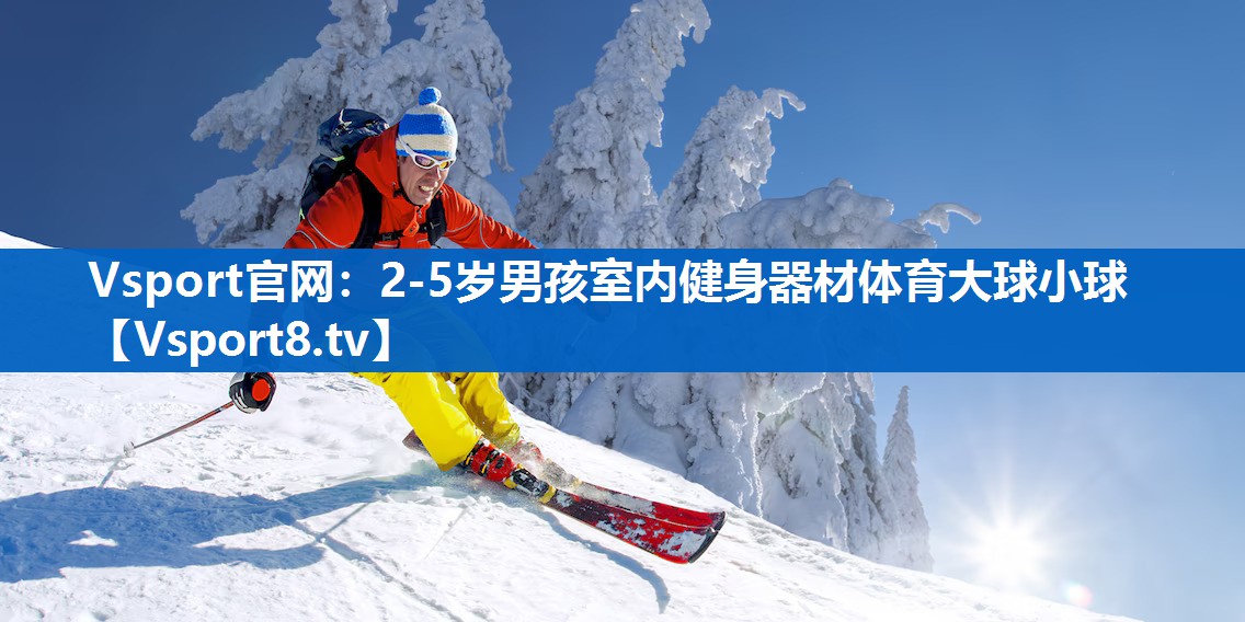 Vsport官网：2-5岁男孩室内健身器材体育大球小球
