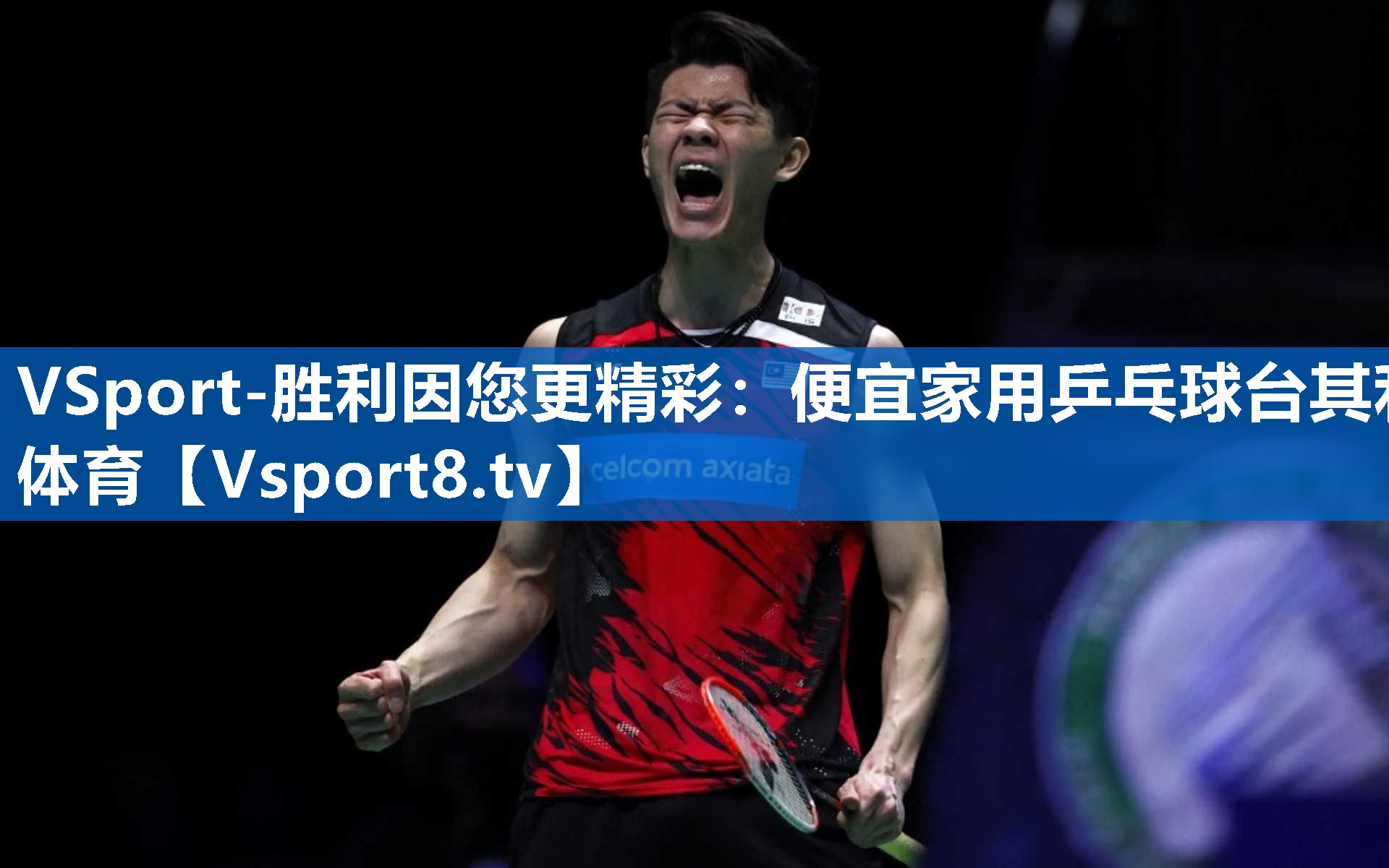 VSport-胜利因您更精彩：便宜家用乒乓球台其利体育