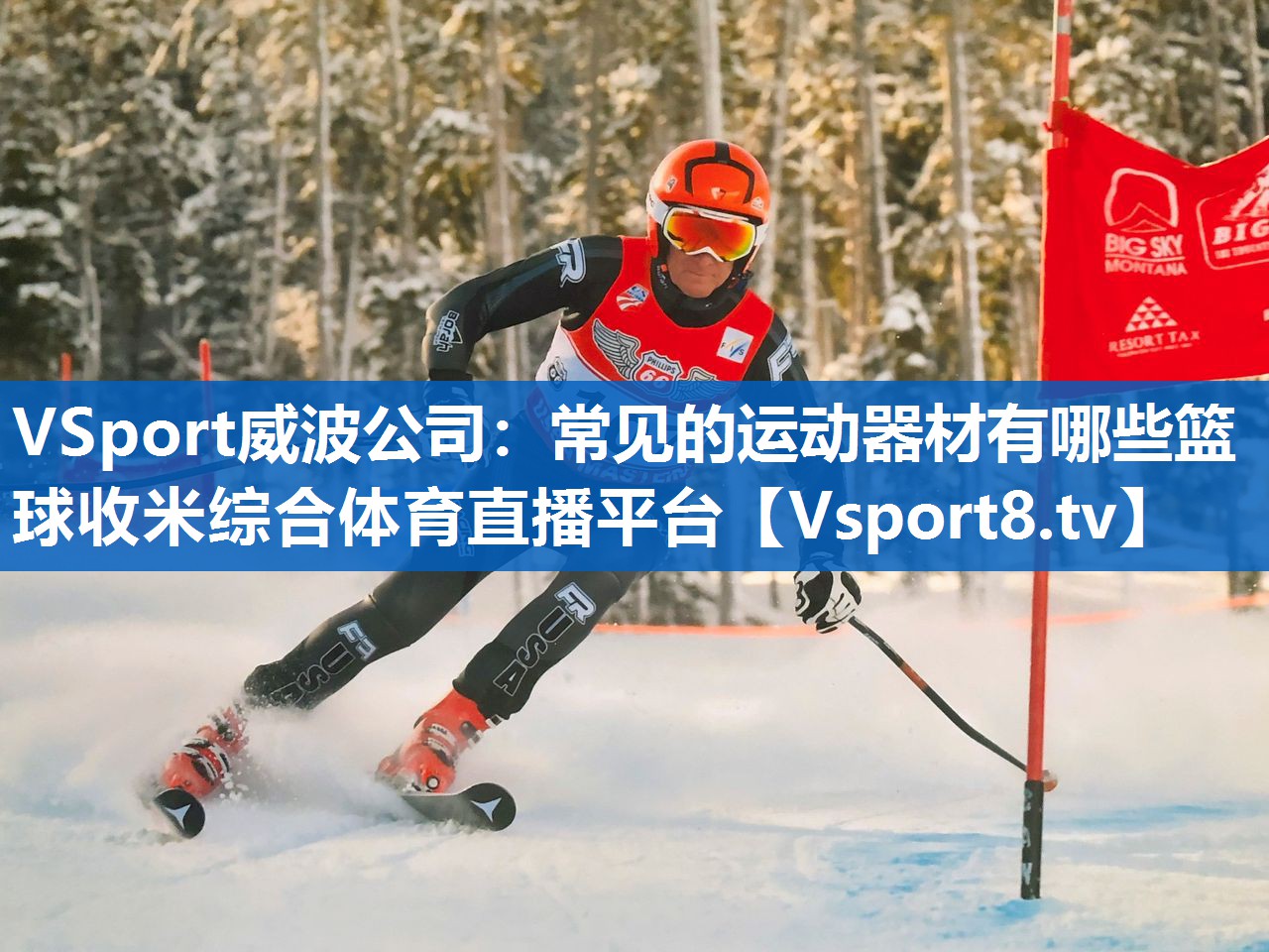 <strong>VSport威波公司：常见的运动器材有哪些篮球收米综合体育直播平台</strong>