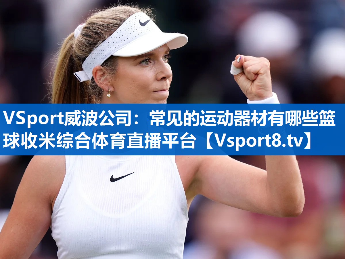 <strong>VSport威波公司：常见的运动器材有哪些篮球收米综合体育直播平台</strong>