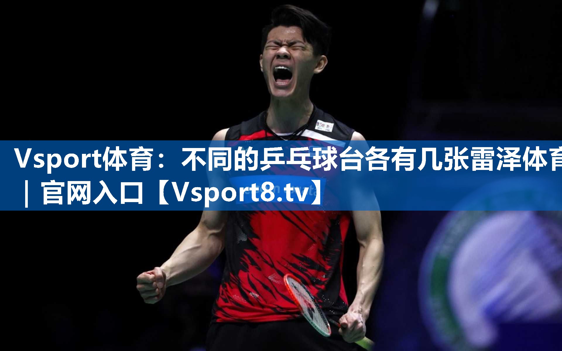 <strong>Vsport体育：不同的乒乓球台各有几张雷泽体育｜官网入口</strong>