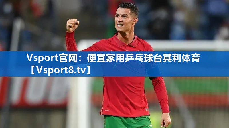 Vsport官网：便宜家用乒乓球台其利体育