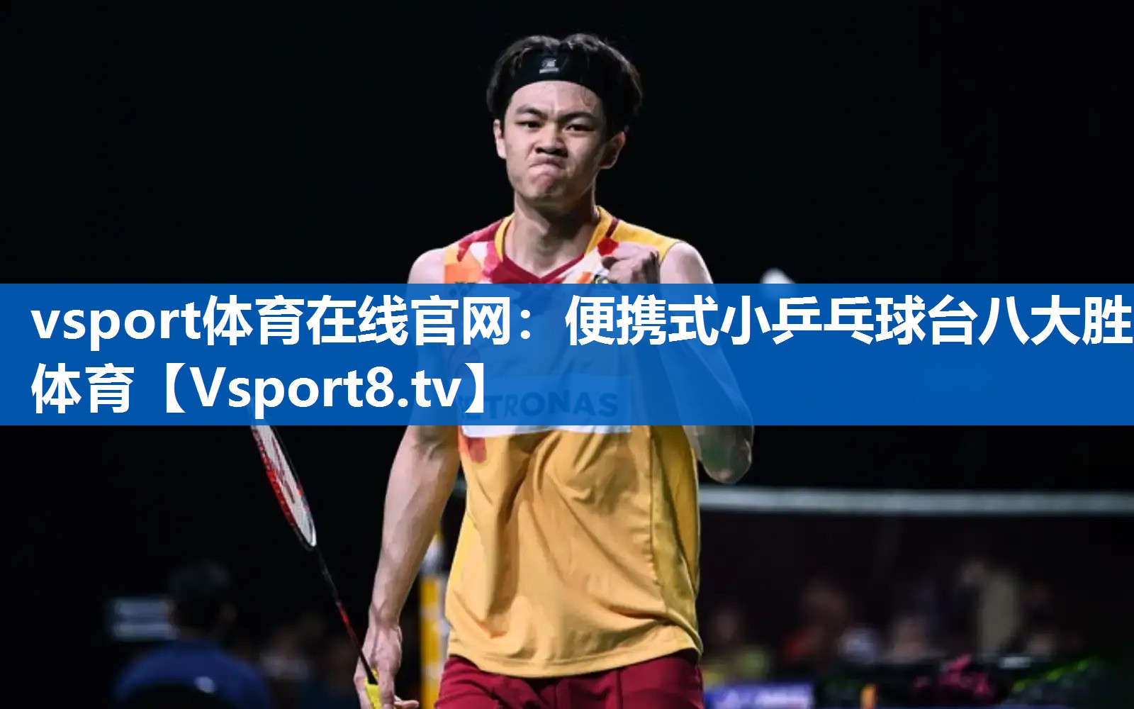 vsport体育在线官网：便携式小乒乓球台八大胜体育