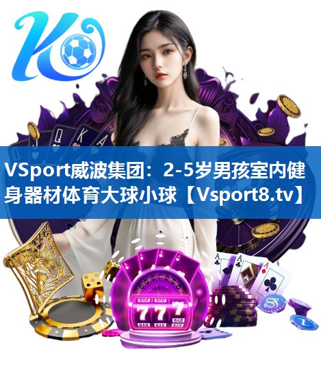 VSport威波集团：2-5岁男孩室内健身器材体育大球小球