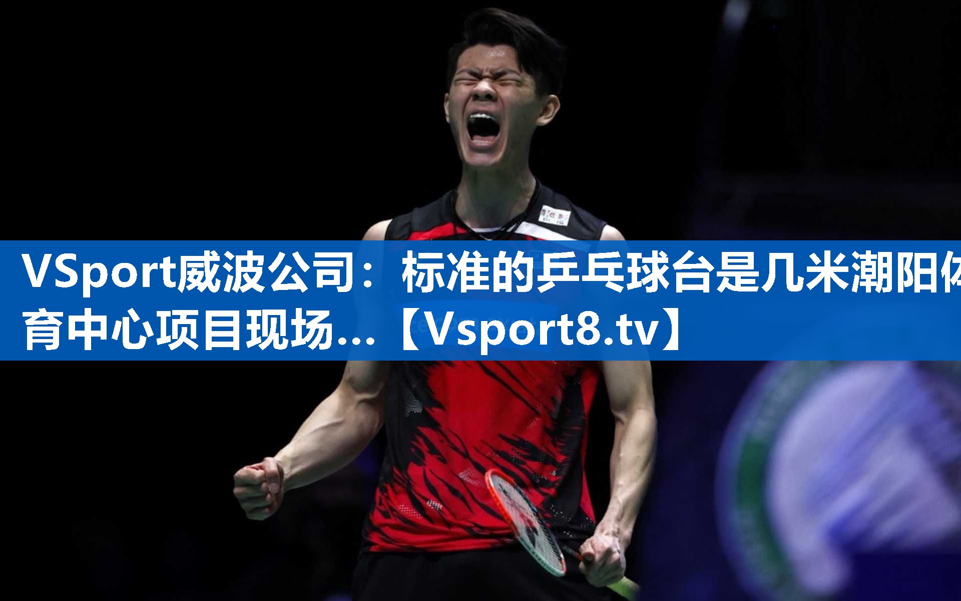 VSport威波公司：标准的乒乓球台是几米潮阳体育中心项目现场…