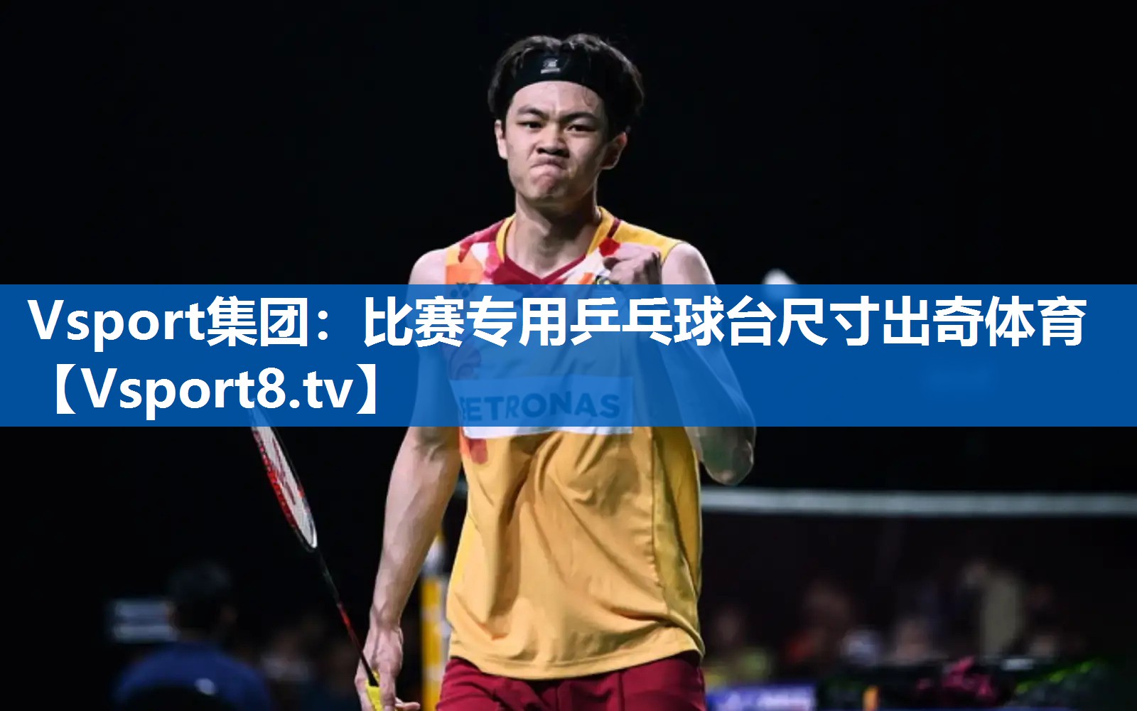 Vsport集团：比赛专用乒乓球台尺寸出奇体育