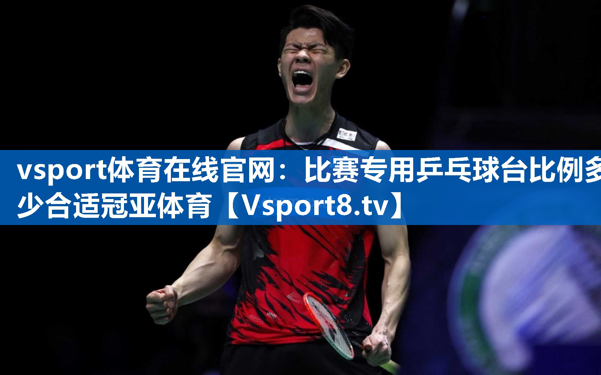 <strong>vsport体育在线官网：比赛专用乒乓球台比例多少合适冠亚体育</strong>