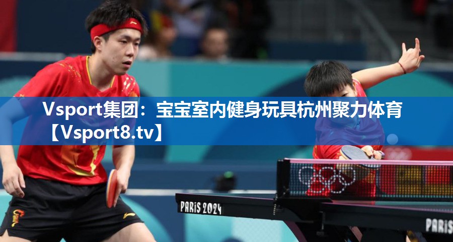 <strong>Vsport集团：宝宝室内健身玩具杭州聚力体育</strong>