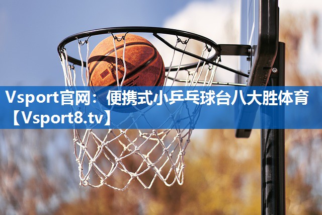 Vsport官网：便携式小乒乓球台八大胜体育