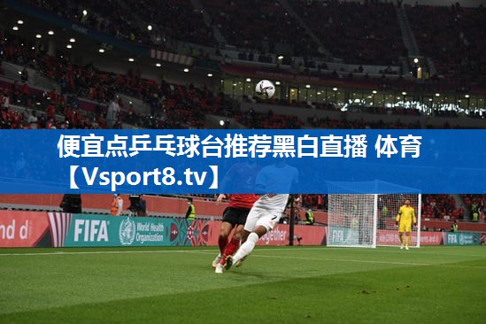 便宜点乒乓球台推荐黑白直播 体育