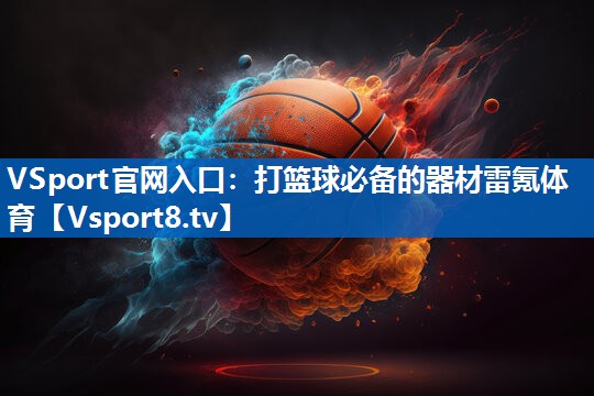 <strong>VSport官网入口：打篮球必备的器材雷氪体育</strong>
