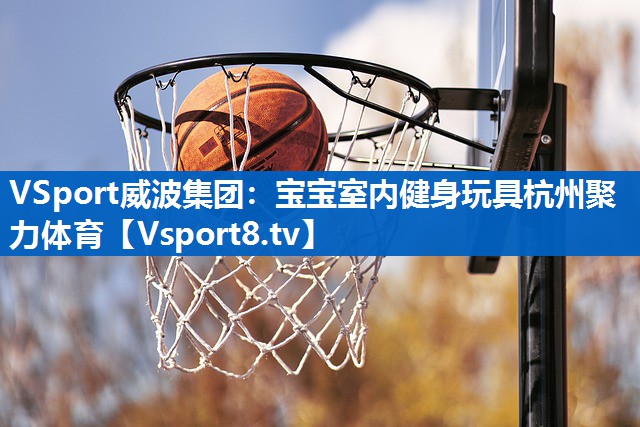 VSport威波集团：宝宝室内健身玩具杭州聚力体育