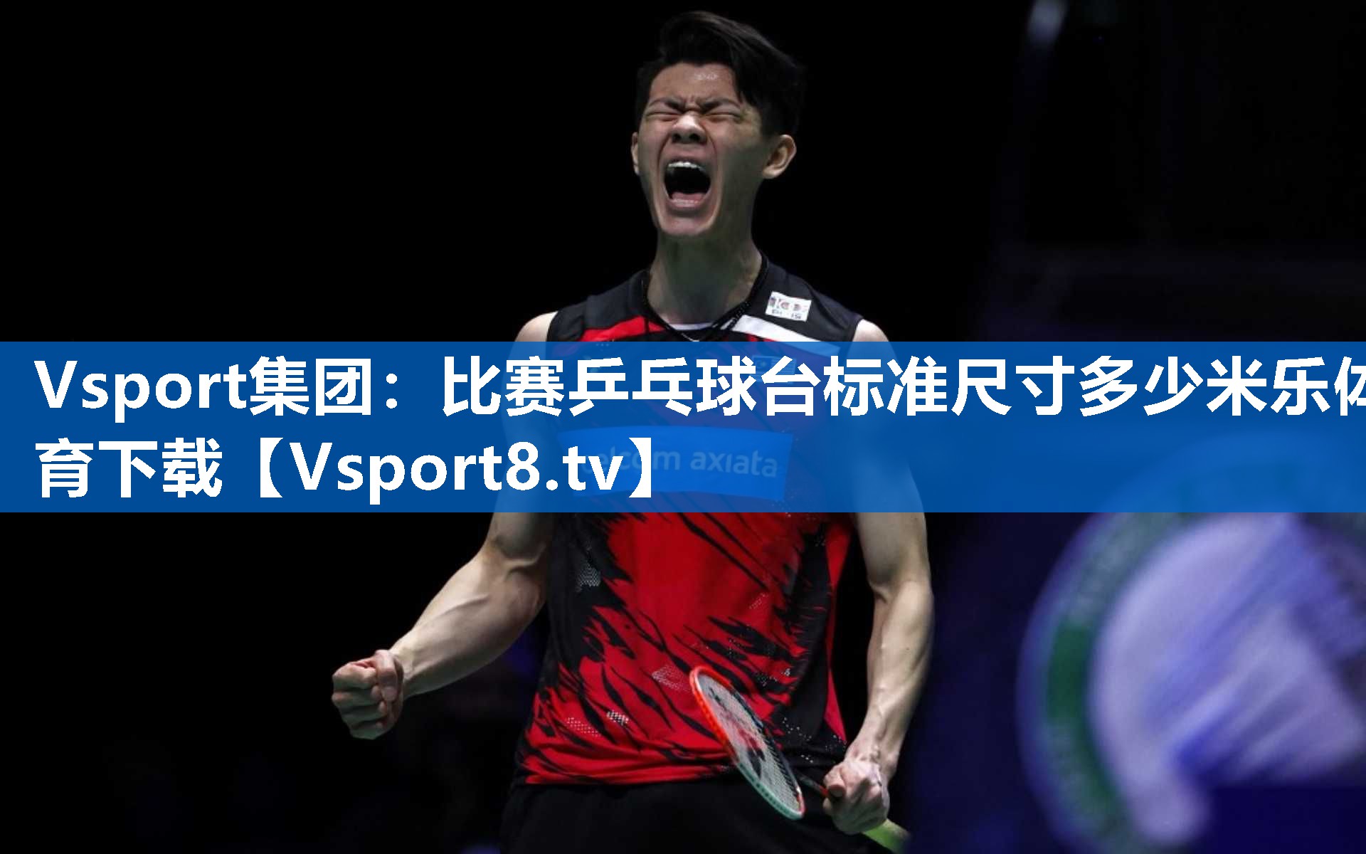 <strong>Vsport集团：比赛乒乓球台标准尺寸多少米乐体育下载</strong>