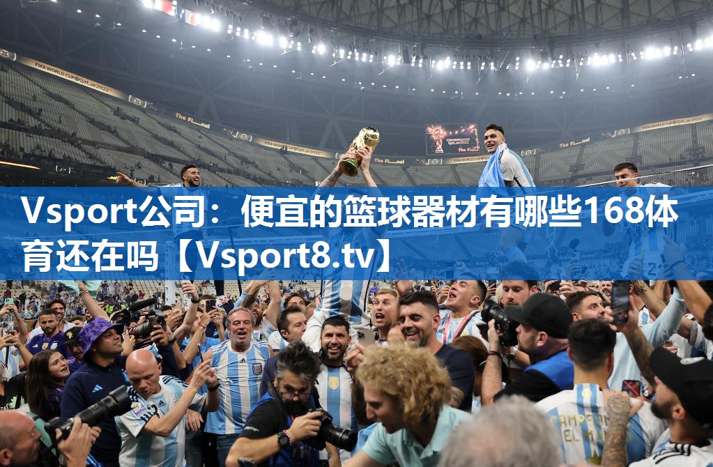 Vsport公司：便宜的篮球器材有哪些168体育还在吗