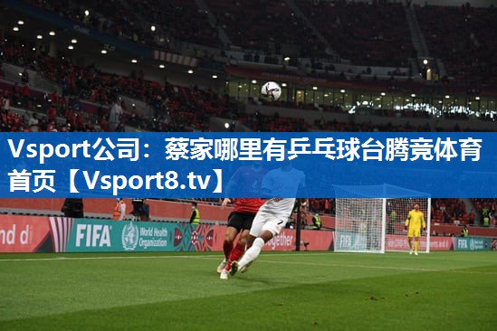 Vsport公司：蔡家哪里有乒乓球台腾竞体育首页