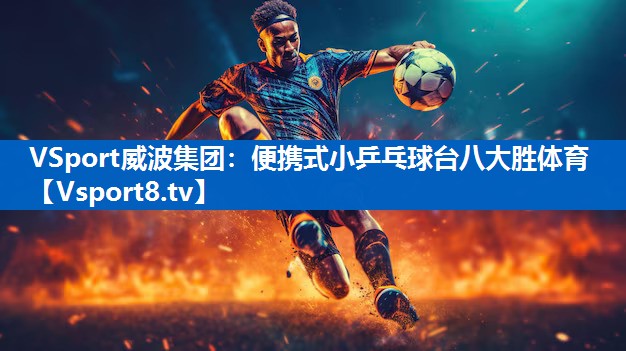 <strong>VSport威波集团：便携式小乒乓球台八大胜体育</strong>