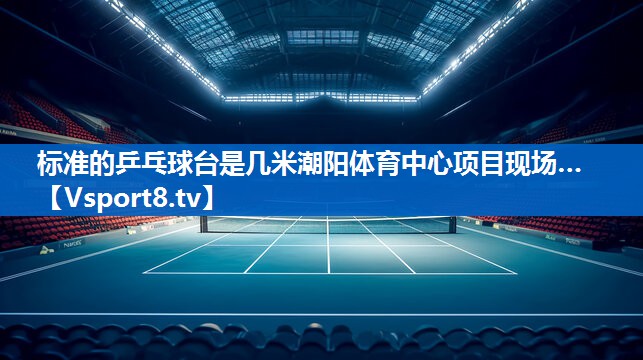 标准的乒乓球台是几米潮阳体育中心项目现场…
