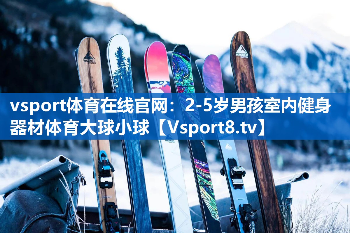<strong>vsport体育在线官网：2-5岁男孩室内健身器材体育大球小球</strong>