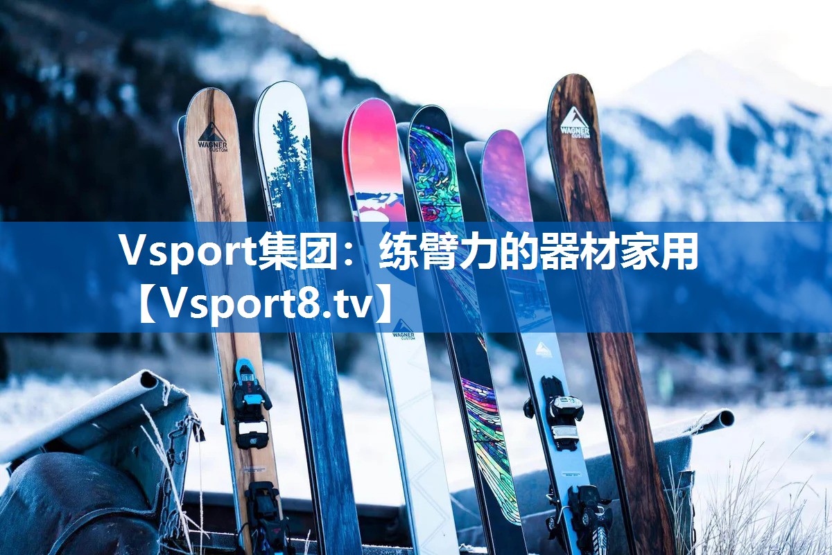 <strong>Vsport集团：练臂力的器材家用</strong>