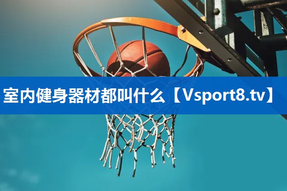 室内健身器材都叫什么