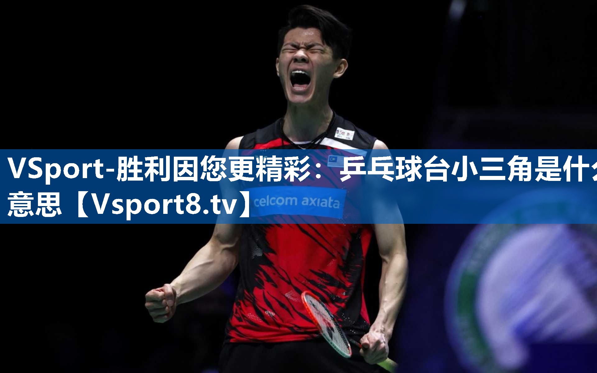 乒乓球台小三角是什么意思