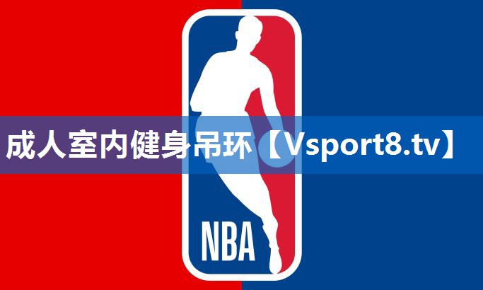 成人室内健身吊环